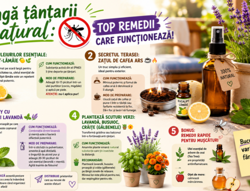 🦟🚫 Alungă țânțarii natural: Top remedii care funcționează!