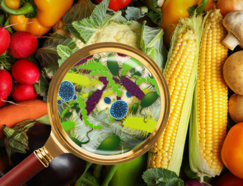 Toxiinfecția alimentară în vacanță: ce faci în primele 24 de ore